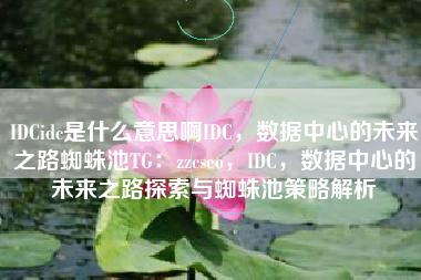 IDCidc是什么意思啊IDC，数据中心的未来之路蜘蛛池TG：zzcseo，IDC，数据中心的未来之路探索与蜘蛛池策略解析