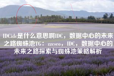 IDCidc是什么意思啊IDC，数据中心的未来之路蜘蛛池TG：zzcseo，IDC，数据中心的未来之路探索与蜘蛛池策略解析