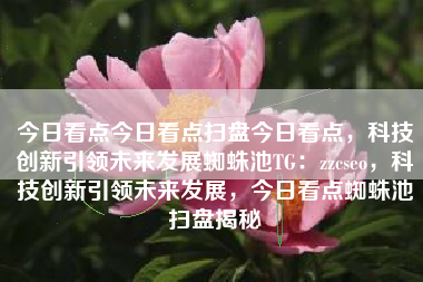 今日看点今日看点扫盘今日看点，科技创新引领未来发展蜘蛛池TG：zzcseo，科技创新引领未来发展，今日看点蜘蛛池扫盘揭秘