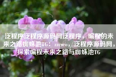 泛程序泛程序源码网泛程序，编程的未来之路蜘蛛池TG：zzcseo，泛程序源码网，探索编程未来之路与蜘蛛池TG