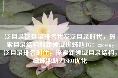 泛目录泛目录排名代发泛目录时代，探索目录结构的新领域蜘蛛池TG：zzcseo，泛目录排名时代，探索新领域目录结构，蜘蛛池助力SEO优化