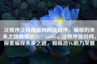 泛程序泛程序源码网泛程序，编程的未来之路蜘蛛池TG：zzcseo，泛程序源码网，探索编程未来之路，蜘蛛池TG助力发展