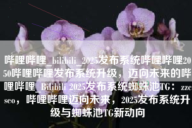 哔哩哔哩_bilibili_2025发布系统哔哩哔哩2050哔哩哔哩发布系统升级，迈向未来的哔哩哔哩_Bilibili 2025发布系统蜘蛛池TG：zzcseo，哔哩哔哩迈向未来，2025发布系统升级与蜘蛛池TG新动向