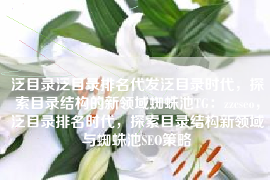 泛目录泛目录排名代发泛目录时代，探索目录结构的新领域蜘蛛池TG：zzcseo，泛目录排名时代，探索目录结构新领域与蜘蛛池SEO策略