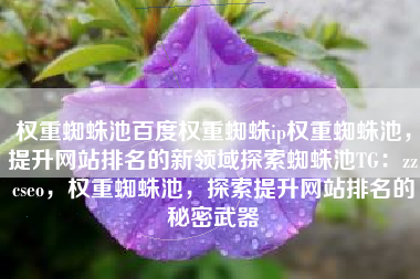 权重蜘蛛池百度权重蜘蛛ip权重蜘蛛池，提升网站排名的新领域探索蜘蛛池TG：zzcseo，权重蜘蛛池，探索提升网站排名的秘密武器