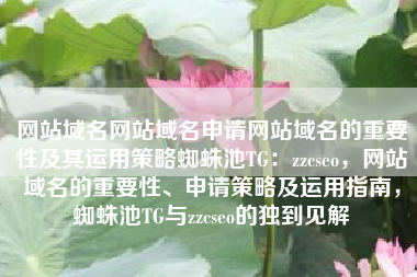 网站域名网站域名申请网站域名的重要性及其运用策略蜘蛛池TG：zzcseo，网站域名的重要性、申请策略及运用指南，蜘蛛池TG与zzcseo的独到见解