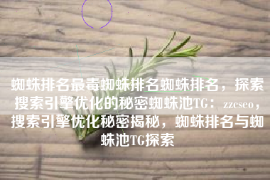 蜘蛛排名最毒蜘蛛排名蜘蛛排名，探索搜索引擎优化的秘密蜘蛛池TG：zzcseo，搜索引擎优化秘密揭秘，蜘蛛排名与蜘蛛池TG探索