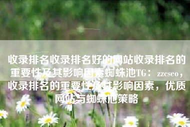 收录排名收录排名好的网站收录排名的重要性及其影响因素蜘蛛池TG：zzcseo，收录排名的重要性及其影响因素，优质网站与蜘蛛池策略