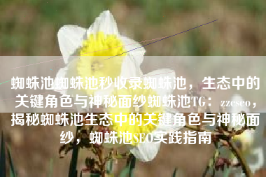 蜘蛛池蜘蛛池秒收录蜘蛛池，生态中的关键角色与神秘面纱蜘蛛池TG：zzcseo，揭秘蜘蛛池生态中的关键角色与神秘面纱，蜘蛛池SEO实践指南