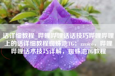话详细教程_哔哩哔哩话话技巧哔哩哔哩上的话详细教程蜘蛛池TG：zzcseo，哔哩哔哩话术技巧详解，蜘蛛池TG教程