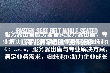 服务器出售服务器售卖服务器出售，专业解决方案，满足您的业务需求蜘蛛池TG：zzcseo，服务器出售与专业解决方案，满足业务需求，蜘蛛池TG助力企业成长