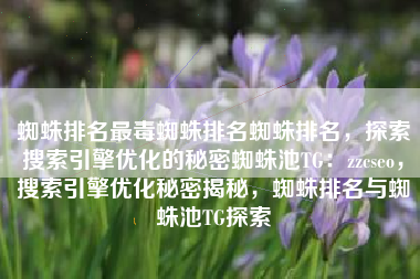 蜘蛛排名最毒蜘蛛排名蜘蛛排名，探索搜索引擎优化的秘密蜘蛛池TG：zzcseo，搜索引擎优化秘密揭秘，蜘蛛排名与蜘蛛池TG探索