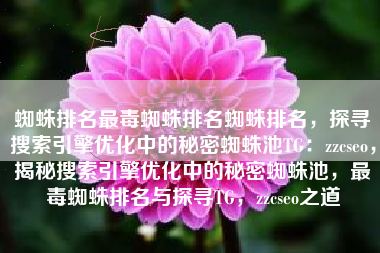 蜘蛛排名最毒蜘蛛排名蜘蛛排名，探寻搜索引擎优化中的秘密蜘蛛池TG：zzcseo，揭秘搜索引擎优化中的秘密蜘蛛池，最毒蜘蛛排名与探寻TG，zzcseo之道