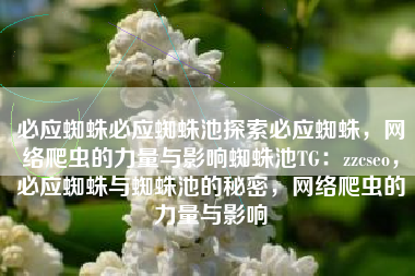 必应蜘蛛必应蜘蛛池探索必应蜘蛛，网络爬虫的力量与影响蜘蛛池TG：zzcseo，必应蜘蛛与蜘蛛池的秘密，网络爬虫的力量与影响