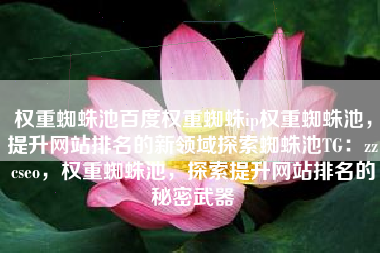 权重蜘蛛池百度权重蜘蛛ip权重蜘蛛池，提升网站排名的新领域探索蜘蛛池TG：zzcseo，权重蜘蛛池，探索提升网站排名的秘密武器