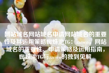 网站域名网站域名申请网站域名的重要性及其运用策略蜘蛛池TG：zzcseo，网站域名的重要性、申请策略及运用指南，蜘蛛池TG与zzcseo的独到见解
