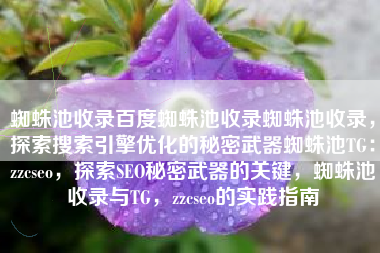 蜘蛛池收录百度蜘蛛池收录蜘蛛池收录，探索搜索引擎优化的秘密武器蜘蛛池TG：zzcseo，探索SEO秘密武器的关键，蜘蛛池收录与TG，zzcseo的实践指南