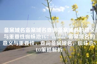 备案域名备案域名查询备案域名的意义与重要性蜘蛛池TG：zzcseo，备案域名的意义与重要性，查询备案域名，蜘蛛池SEO策略解析