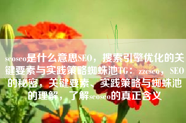 seoseo是什么意思SEO，搜索引擎优化的关键要素与实践策略蜘蛛池TG：zzcseo，SEO的秘密，关键要素、实践策略与蜘蛛池的理解，了解seoseo的真正含义