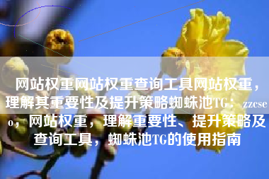 网站权重网站权重查询工具网站权重，理解其重要性及提升策略蜘蛛池TG：zzcseo，网站权重，理解重要性、提升策略及查询工具，蜘蛛池TG的使用指南