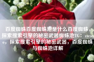 百度蜘蛛百度蜘蛛池是什么百度蜘蛛，探索搜索引擎的秘密武器蜘蛛池TG：zzcseo，探索搜索引擎的秘密武器，百度蜘蛛与蜘蛛池详解