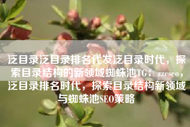 泛目录泛目录排名代发泛目录时代，探索目录结构的新领域蜘蛛池TG：zzcseo，泛目录排名时代，探索目录结构新领域与蜘蛛池SEO策略