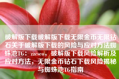 破解版下载破解版下载无限金币无限钻石关于破解版下载的风险与应对方法蜘蛛池TG：zzcseo，破解版下载风险解析及应对方法，无限金币钻石下载风险揭秘与蜘蛛池TG指南