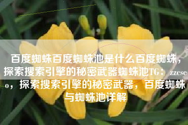 百度蜘蛛百度蜘蛛池是什么百度蜘蛛，探索搜索引擎的秘密武器蜘蛛池TG：zzcseo，探索搜索引擎的秘密武器，百度蜘蛛与蜘蛛池详解