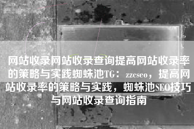 网站收录网站收录查询提高网站收录率的策略与实践蜘蛛池TG：zzcseo，提高网站收录率的策略与实践，蜘蛛池SEO技巧与网站收录查询指南