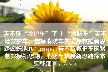 等不及“救护车”了 上“消防车”等不及救护车，选择消防车的紧急救援新思路蜘蛛池TG：zzcseo，等不及救护车的紧急救援新思路，消防车救援新思路探索蜘蛛池TG，zzcseo