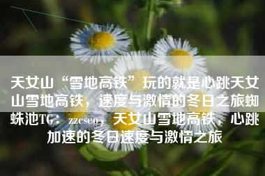 天女山“雪地高铁”玩的就是心跳天女山雪地高铁，速度与激情的冬日之旅蜘蛛池TG：zzcseo，天女山雪地高铁，心跳加速的冬日速度与激情之旅