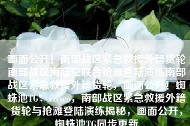 画面公开！南部战区紧急救援外籍货轮南部战区海陆空联合抢滩登陆演练南部战区紧急救援外籍货轮，画面公开！蜘蛛池TG：zzcseo，南部战区紧急救援外籍货轮与抢滩登陆演练揭秘，画面公开，蜘蛛池TG同步更新