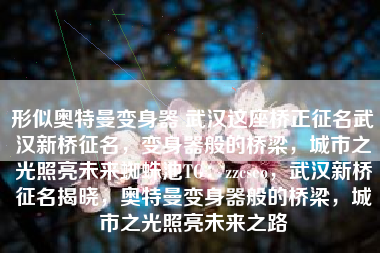 形似奥特曼变身器 武汉这座桥正征名武汉新桥征名，变身器般的桥梁，城市之光照亮未来蜘蛛池TG：zzcseo，武汉新桥征名揭晓，奥特曼变身器般的桥梁，城市之光照亮未来之路