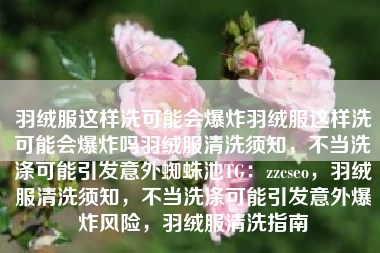 羽绒服这样洗可能会爆炸羽绒服这样洗可能会爆炸吗羽绒服清洗须知，不当洗涤可能引发意外蜘蛛池TG：zzcseo，羽绒服清洗须知，不当洗涤可能引发意外爆炸风险，羽绒服清洗指南