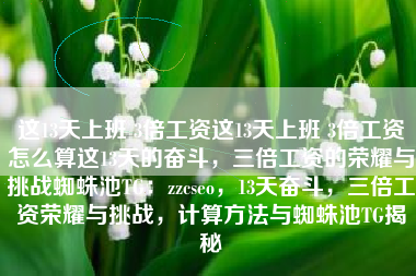 这13天上班 3倍工资这13天上班 3倍工资怎么算这13天的奋斗，三倍工资的荣耀与挑战蜘蛛池TG：zzcseo，13天奋斗，三倍工资荣耀与挑战，计算方法与蜘蛛池TG揭秘