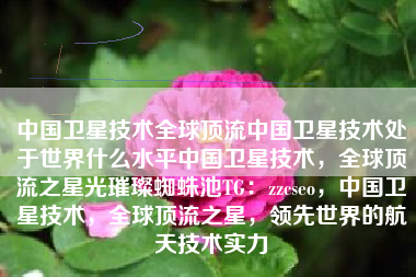 中国卫星技术全球顶流中国卫星技术处于世界什么水平中国卫星技术，全球顶流之星光璀璨蜘蛛池TG：zzcseo，中国卫星技术，全球顶流之星，领先世界的航天技术实力