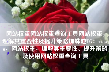 网站权重网站权重查询工具网站权重，理解其重要性及提升策略蜘蛛池TG：zzcseo，网站权重，理解其重要性、提升策略及使用网站权重查询工具