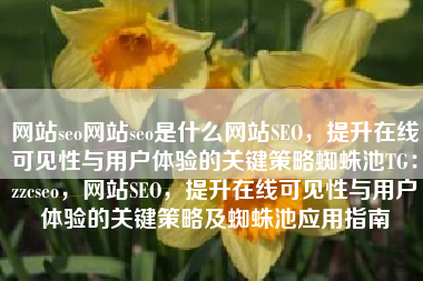 网站seo网站seo是什么网站SEO，提升在线可见性与用户体验的关键策略蜘蛛池TG：zzcseo，网站SEO，提升在线可见性与用户体验的关键策略及蜘蛛池应用指南
