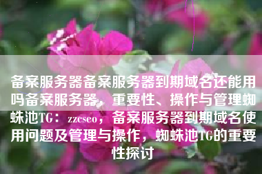 备案服务器备案服务器到期域名还能用吗备案服务器，重要性、操作与管理蜘蛛池TG：zzcseo，备案服务器到期域名使用问题及管理与操作，蜘蛛池TG的重要性探讨