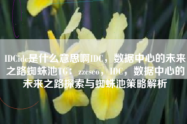 IDCidc是什么意思啊IDC，数据中心的未来之路蜘蛛池TG：zzcseo，IDC，数据中心的未来之路探索与蜘蛛池策略解析