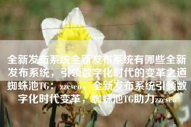 全新发布系统全新发布系统有哪些全新发布系统，引领数字化时代的变革之道蜘蛛池TG：zzcseo，全新发布系统引领数字化时代变革，蜘蛛池TG助力zzcseo
