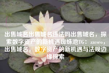 出售域名出售域名违法吗出售域名，探索数字资产的新机遇蜘蛛池TG：zzcseo，出售域名，数字资产的新机遇与法规边缘探索