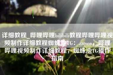 详细教程_哔哩哔哩bilibili教程哔哩哔哩视频制作详细教程蜘蛛池TG：zzcseo，哔哩哔哩视频制作详细教程，蜘蛛池TG操作指南