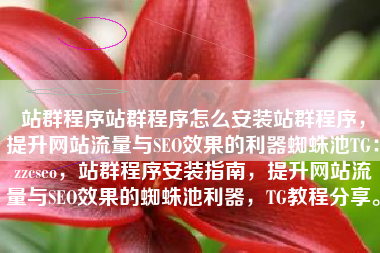 站群程序站群程序怎么安装站群程序，提升网站流量与SEO效果的利器蜘蛛池TG：zzcseo，站群程序安装指南，提升网站流量与SEO效果的蜘蛛池利器，TG教程分享。