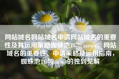 网站域名网站域名申请网站域名的重要性及其运用策略蜘蛛池TG：zzcseo，网站域名的重要性、申请策略及运用指南，蜘蛛池TG与zzcseo的独到见解