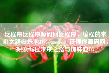 泛程序泛程序源码网泛程序，编程的未来之路蜘蛛池TG：zzcseo，泛程序源码网，探索编程未来之路与蜘蛛池TG