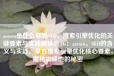 seoseo是什么意思SEO，搜索引擎优化的关键要素与实践蜘蛛池TG：zzcseo，SEO的含义与实践，掌握搜索引擎优化核心要素，揭秘蜘蛛池的秘密