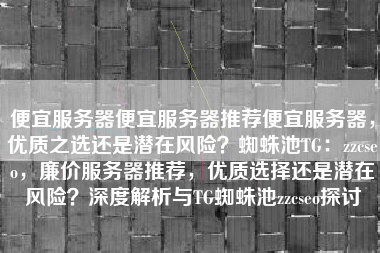 便宜服务器便宜服务器推荐便宜服务器，优质之选还是潜在风险？蜘蛛池TG：zzcseo，廉价服务器推荐，优质选择还是潜在风险？深度解析与TG蜘蛛池zzcseo探讨