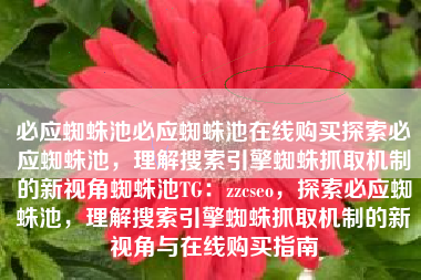 必应蜘蛛池必应蜘蛛池在线购买探索必应蜘蛛池，理解搜索引擎蜘蛛抓取机制的新视角蜘蛛池TG：zzcseo，探索必应蜘蛛池，理解搜索引擎蜘蛛抓取机制的新视角与在线购买指南