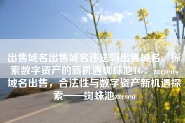 出售域名出售域名违法吗出售域名，探索数字资产的新机遇蜘蛛池TG：zzcseo，域名出售，合法性与数字资产新机遇探索——蜘蛛池zzcseo